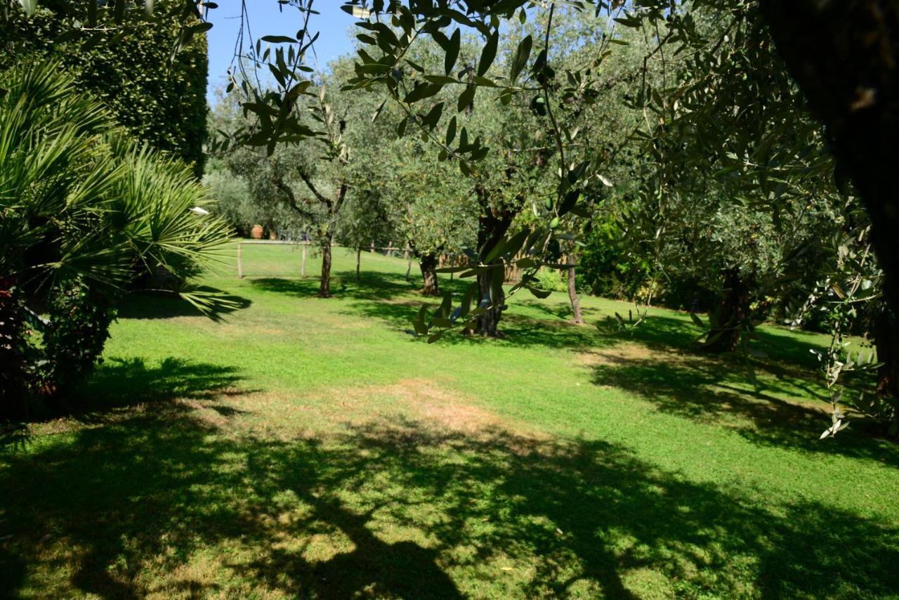 Agriturismo Corte Stefani كابانّوري المظهر الخارجي الصورة