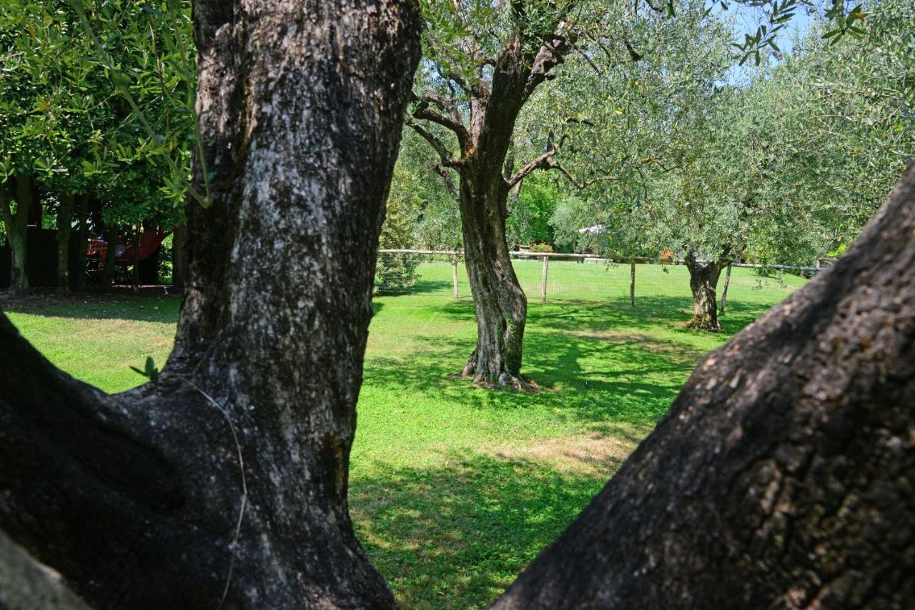 Agriturismo Corte Stefani كابانّوري المظهر الخارجي الصورة
