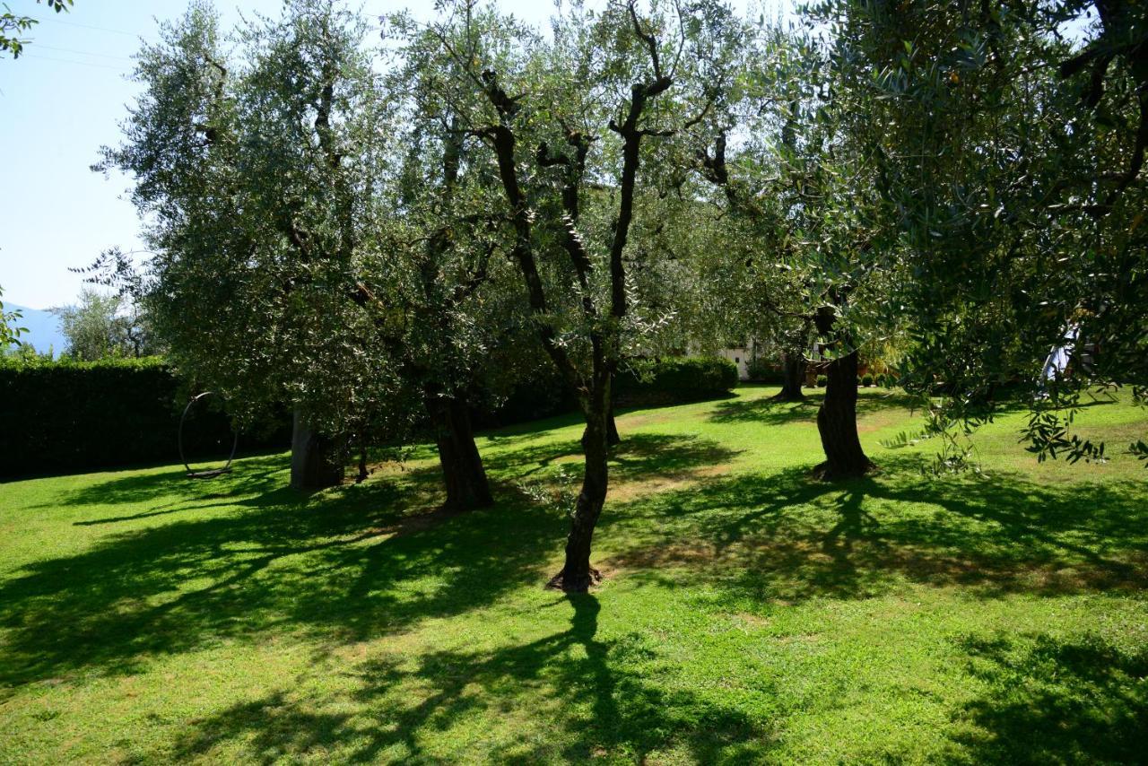 Agriturismo Corte Stefani كابانّوري المظهر الخارجي الصورة