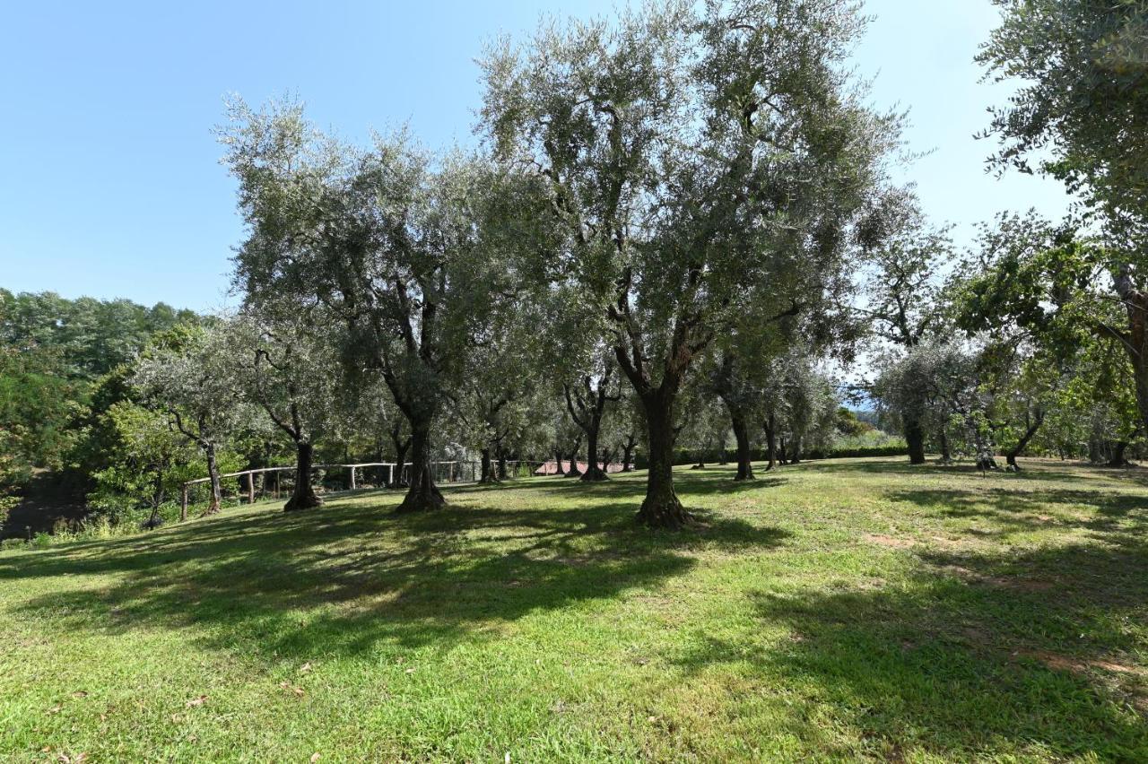 Agriturismo Corte Stefani كابانّوري المظهر الخارجي الصورة