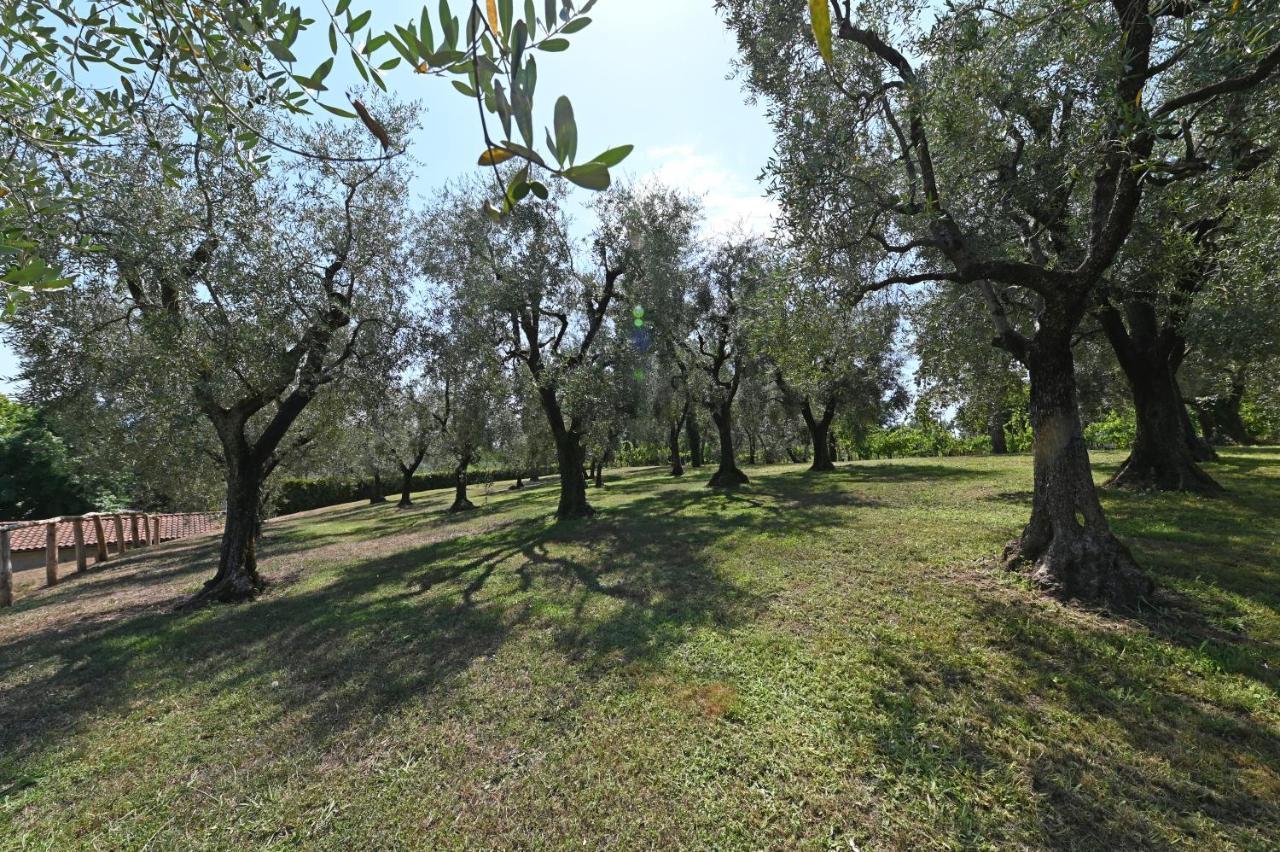 Agriturismo Corte Stefani كابانّوري المظهر الخارجي الصورة